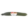 Jacks Cucumber Single